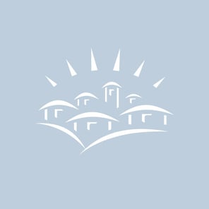 VS_Icon_White Display-01