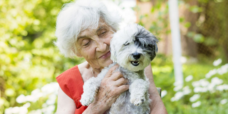 Are Pets a Good Idea for Seniors?