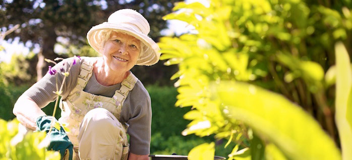 Fulfilling and Fun Jobs for Retirees