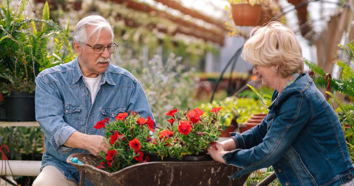 7 Senior Activities for Engagement Year-Round