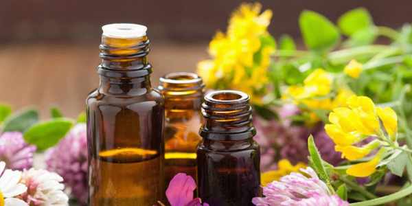 5 Essential Oils that Promote Wellness in Seniors